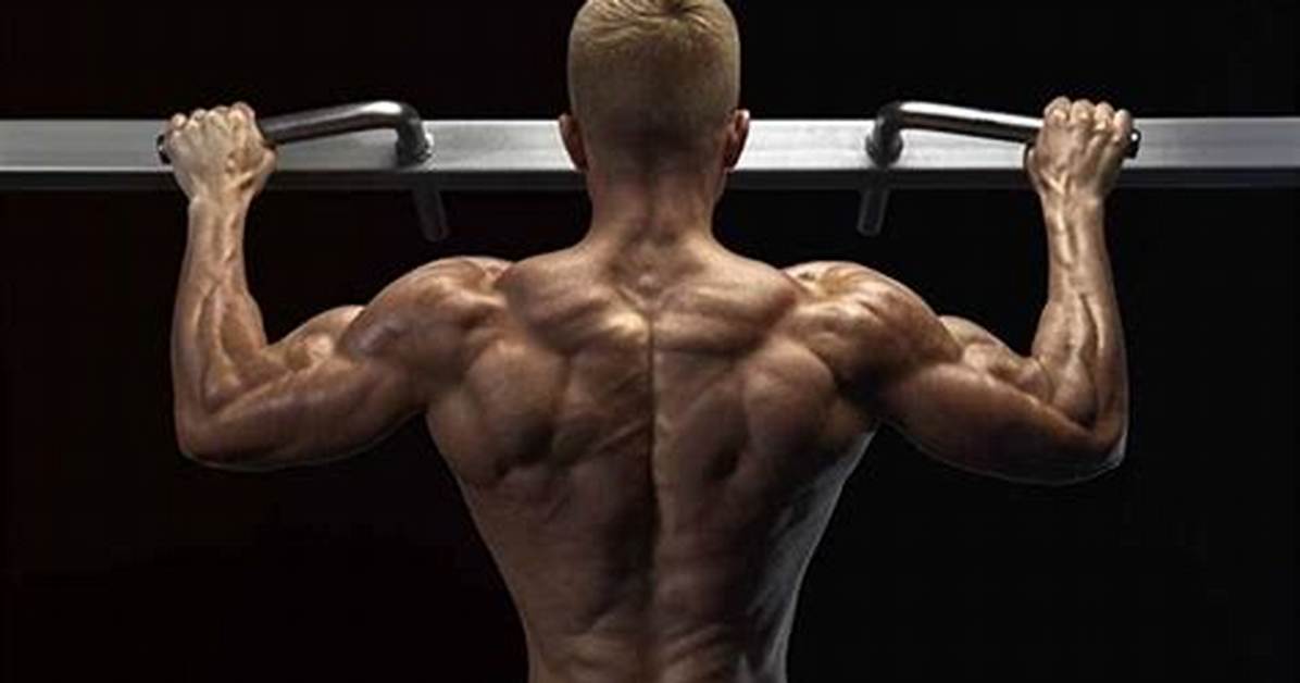 Is Pullups Everyday Bad?