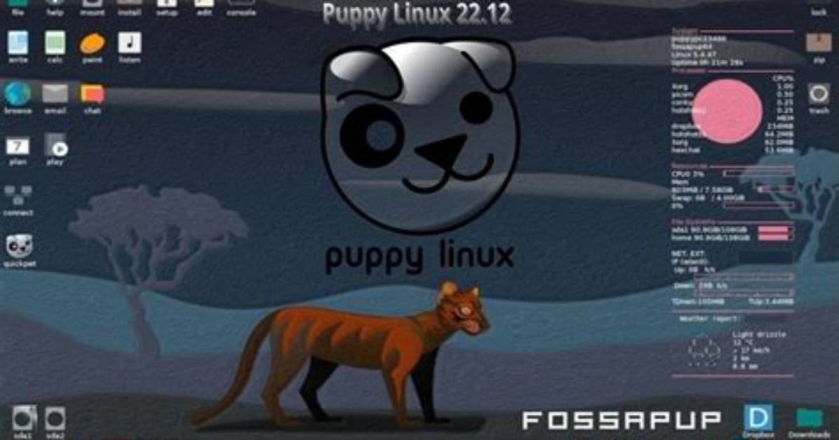 Is Puppy Linux Good for Programming?