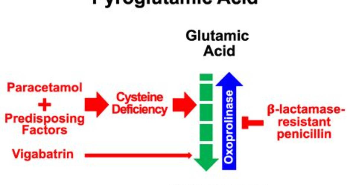 Is Pyroglutamic Acid Safe?