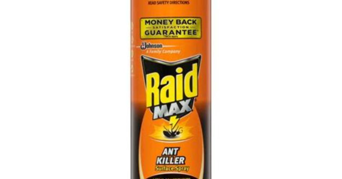 Is Raid Max Safe for Dogs