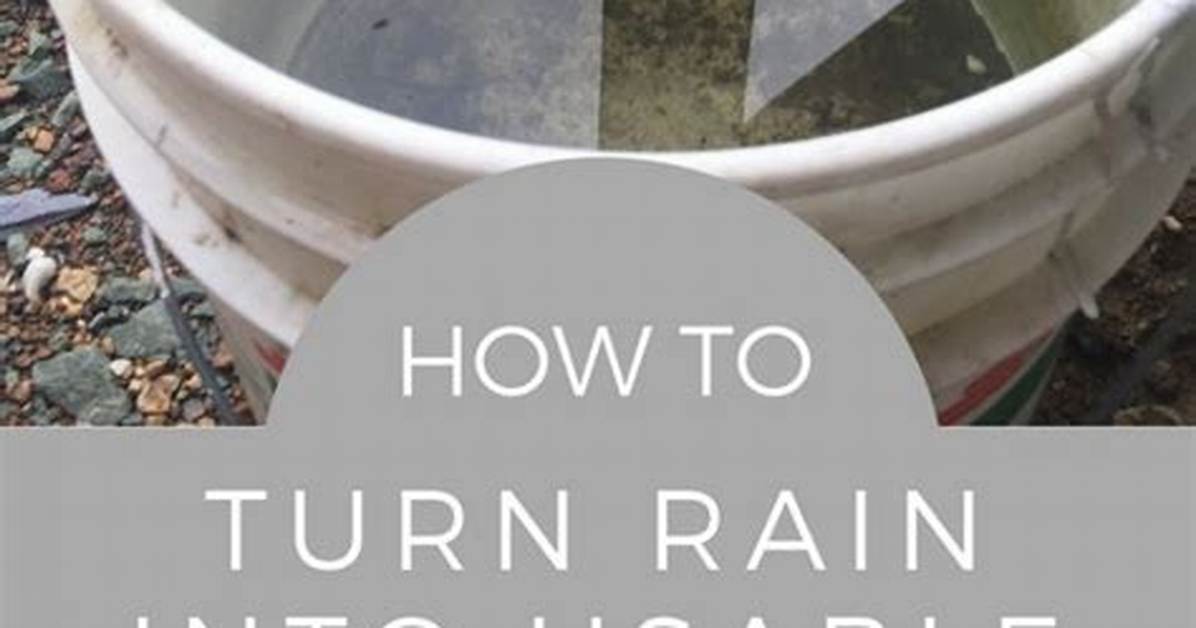 Is Rain Water Usable