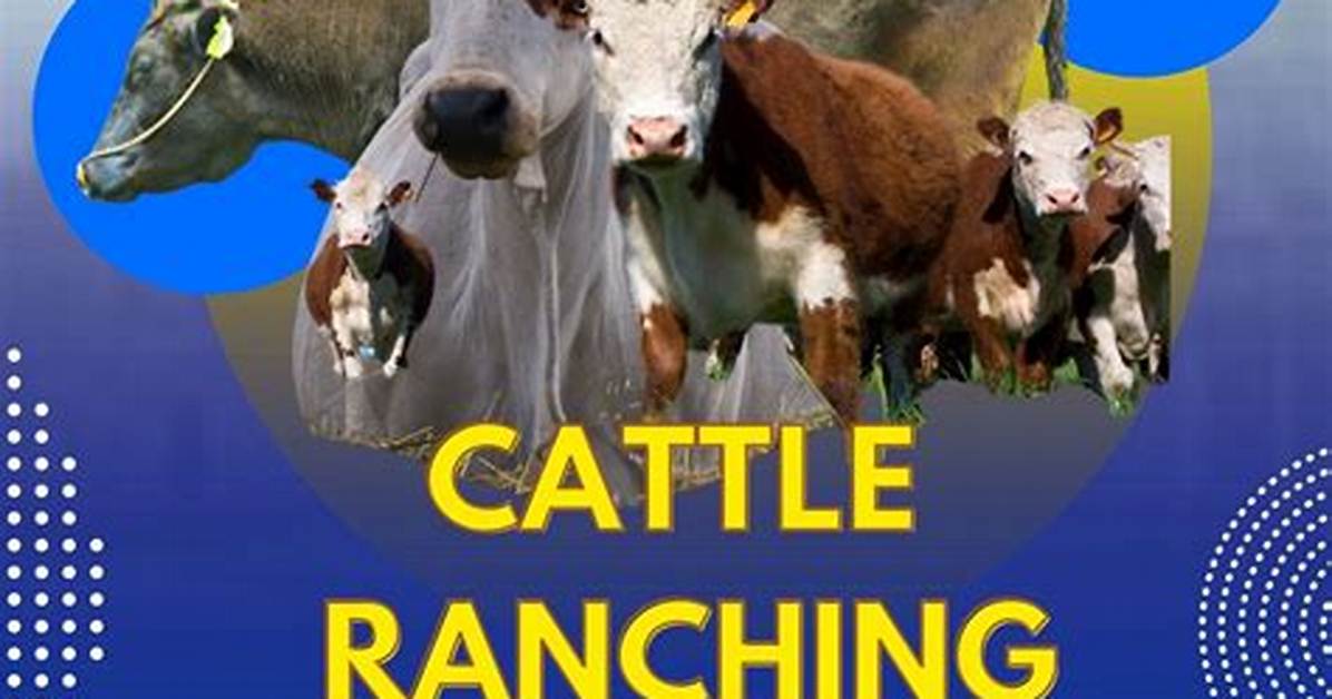 Is Ranching a Profitable Business?