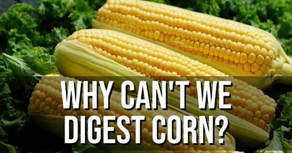 Is Raw Corn Hard to Digest?