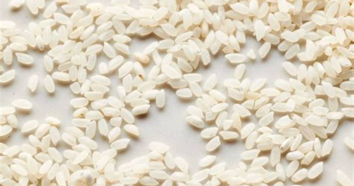 Is Rice a Small Grain?