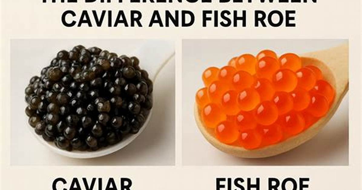 Is Roe the Same as Caviar