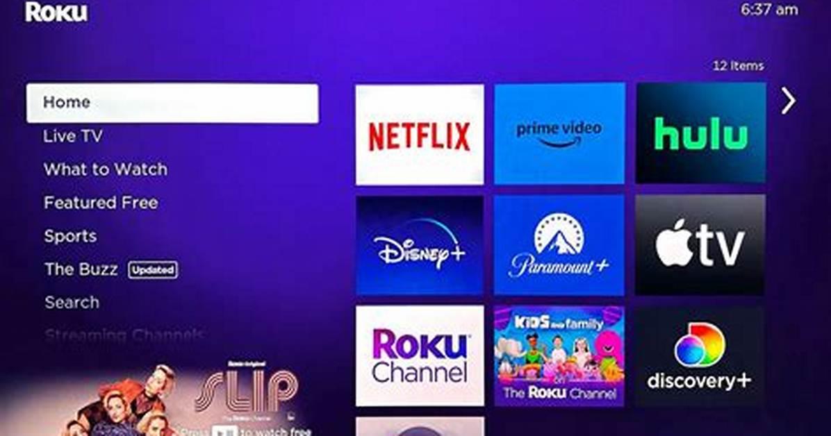 Is Roku Compatible with Amazon Prime?