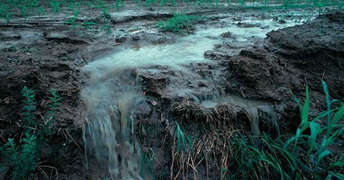 Is Runoff Hyphenated?