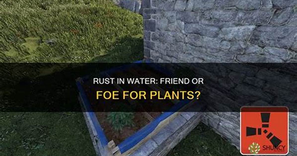 Is Rust Harmful to Plants