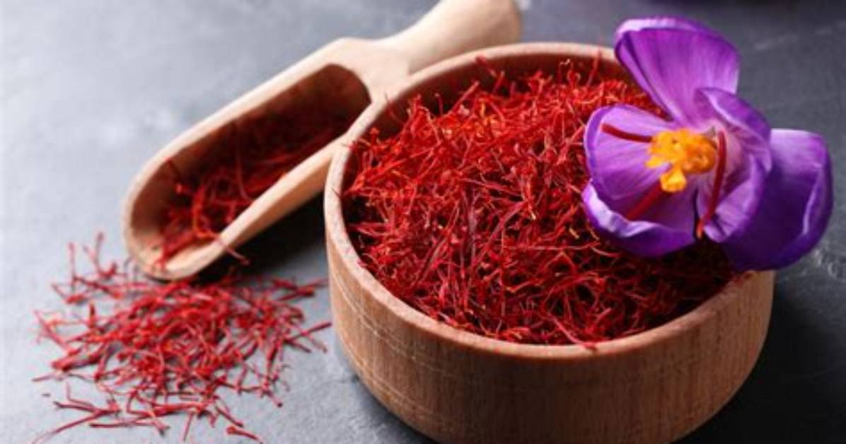 Is Saffron a Hallucinogen
