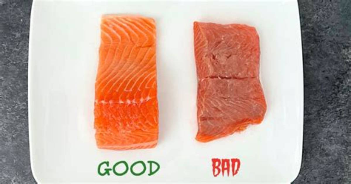 Is Salmon Bad for Gerd