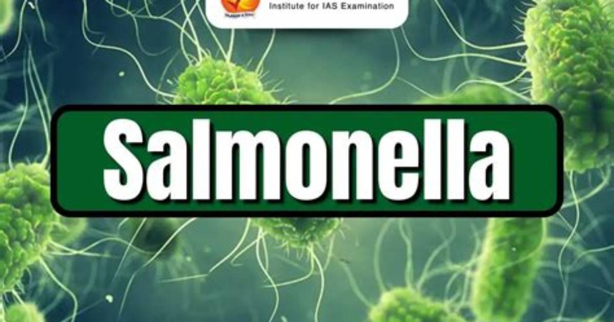 Is Salmonella a Coliform