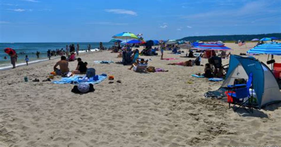 Is Sandy Hook Beach Dog Friendly?