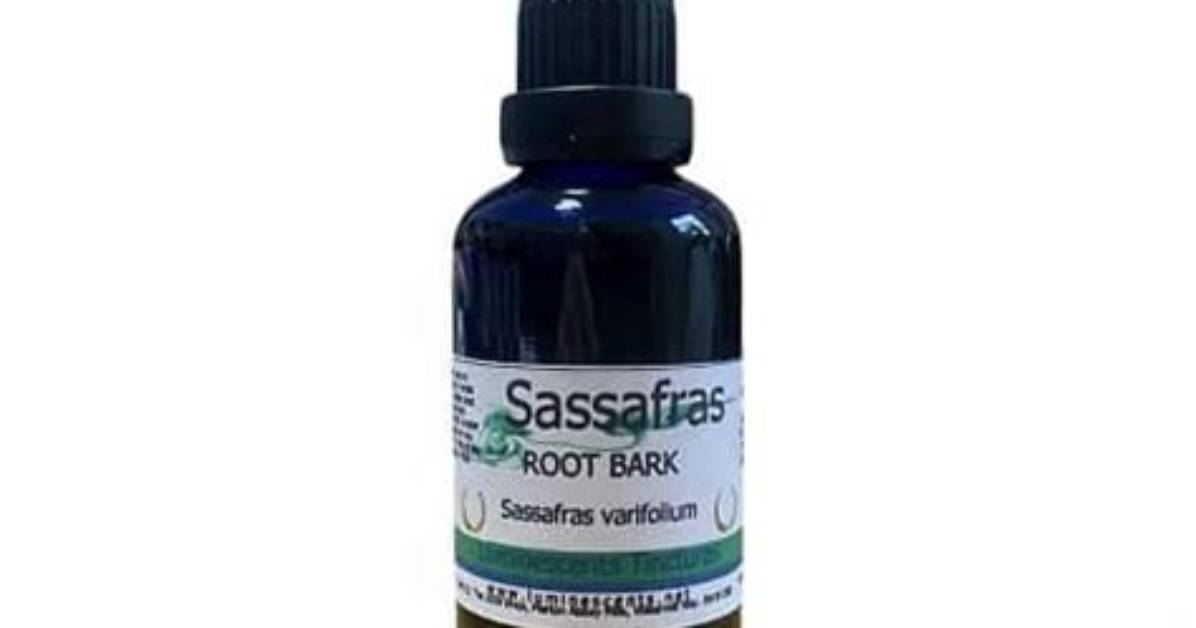 Is Sassafras a Stimulant? | Contextresponse. Com