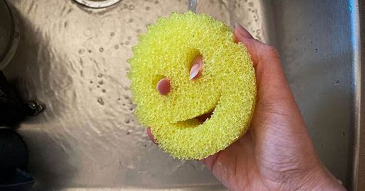 Is Scrub Daddy Toxic