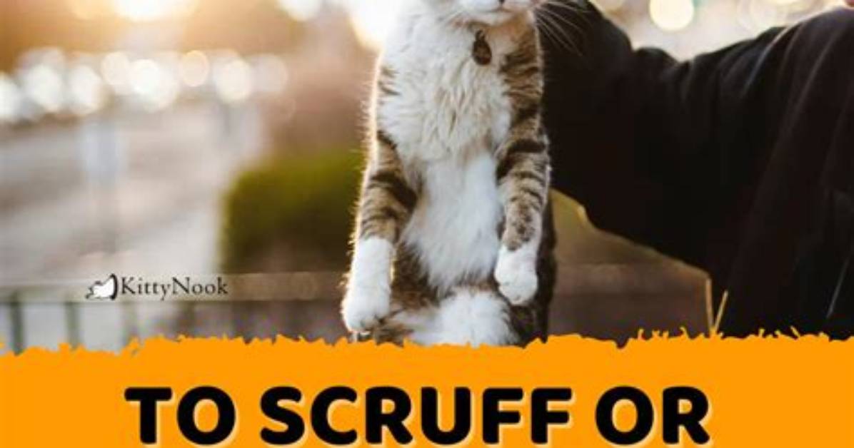 Is Scruffing a Word?