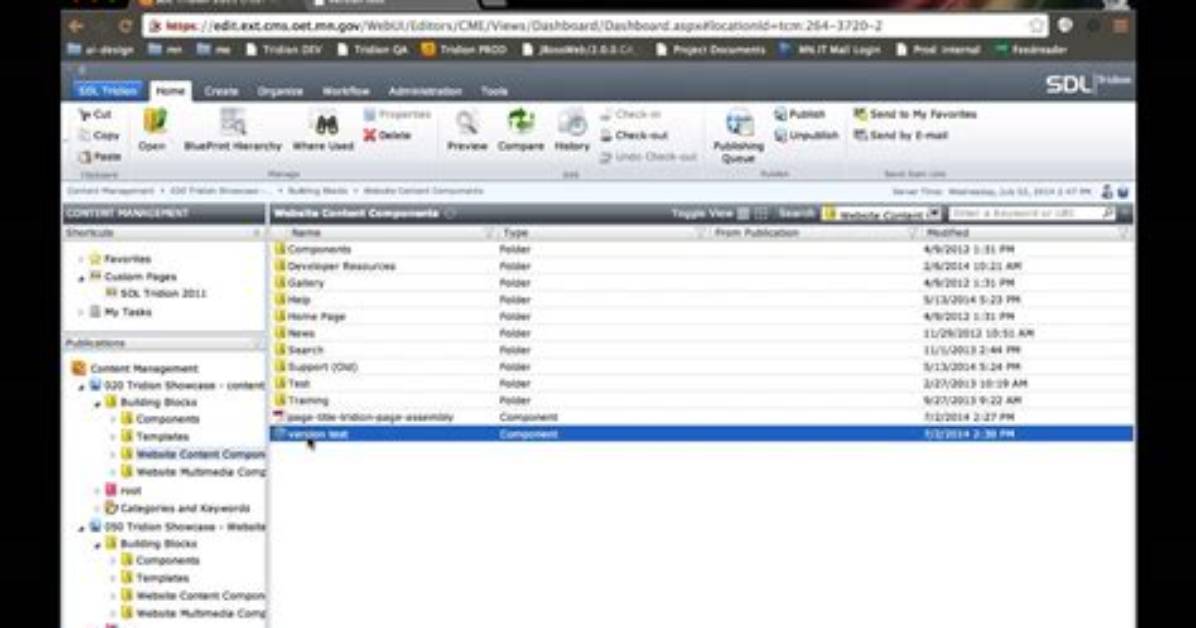 Is Sdl Tridion. Net Based?