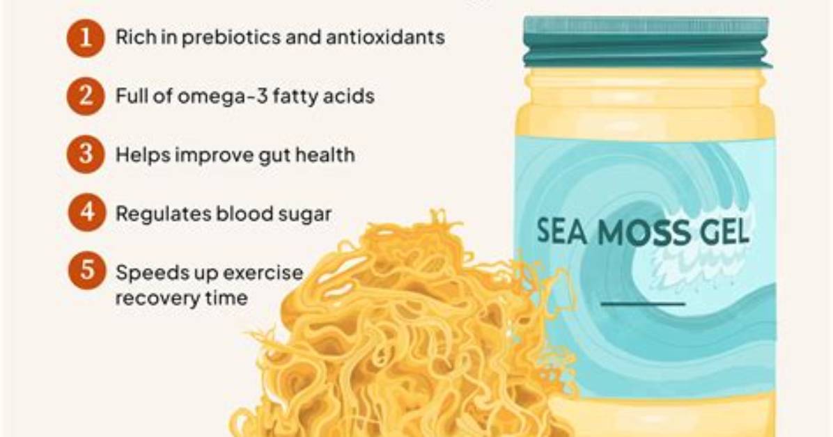 Is Sea Moss Good for Your Face?