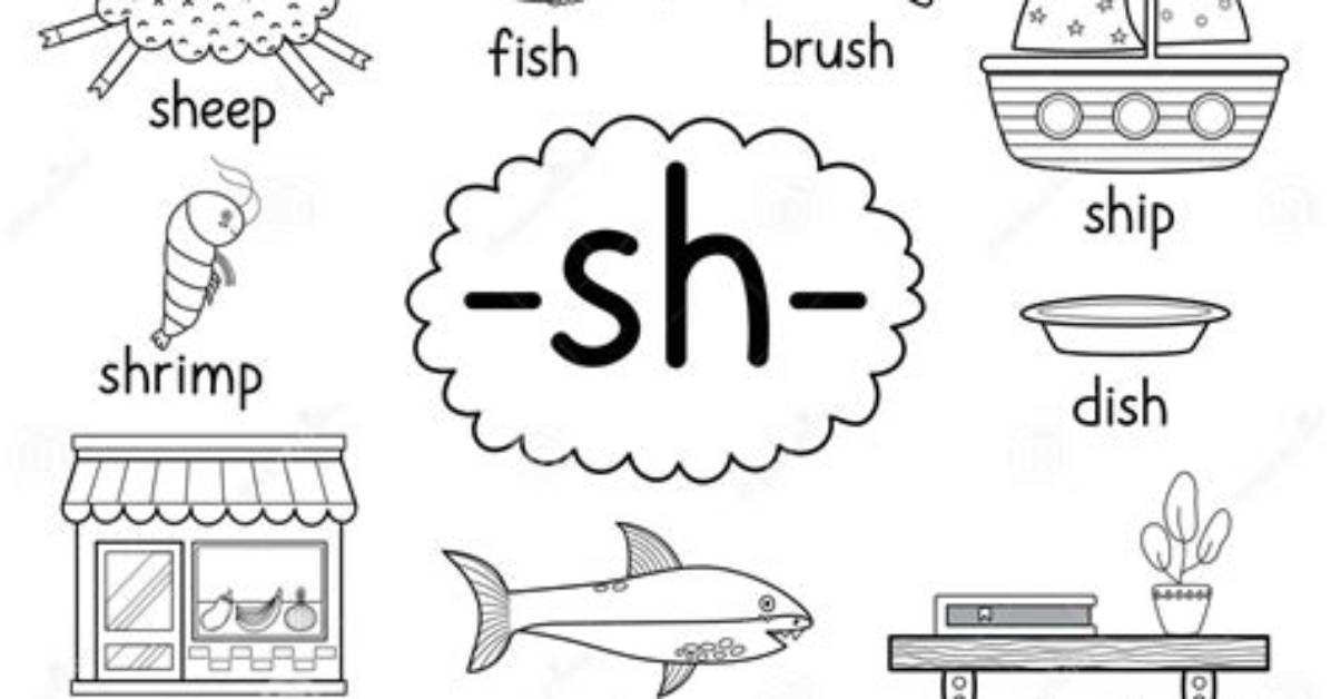 Is Sh a Digraph?