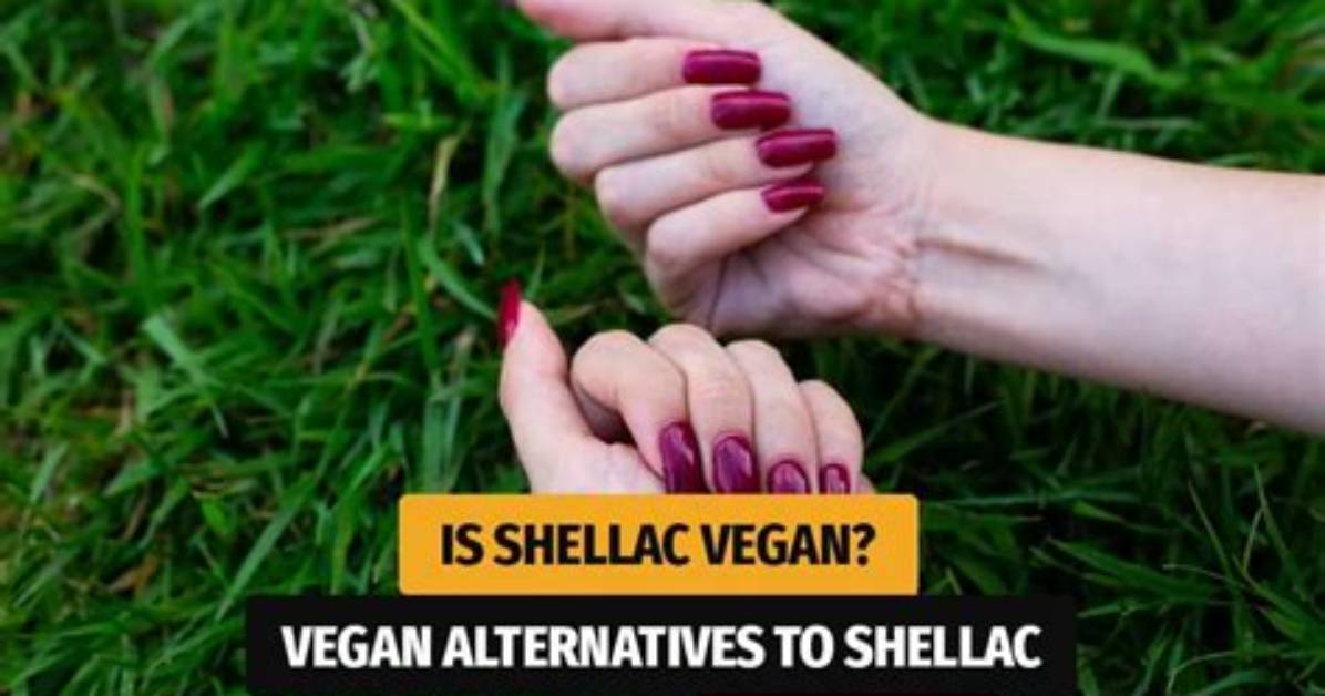 Is Shellac Vegan Friendly?