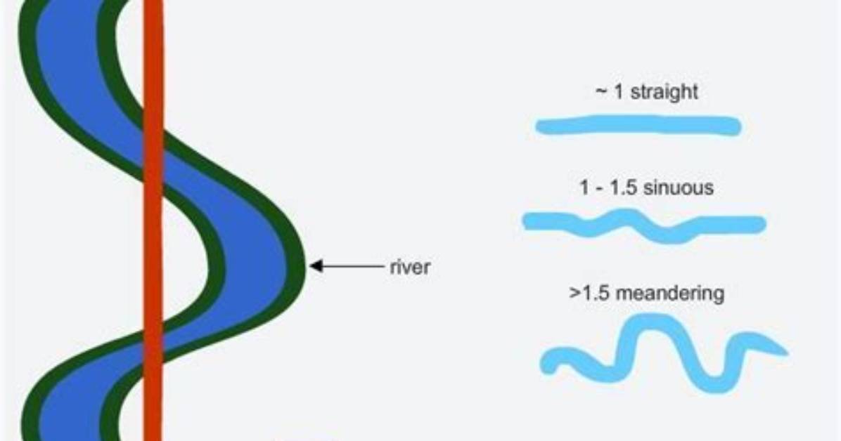 Is Sinuosity a Word?