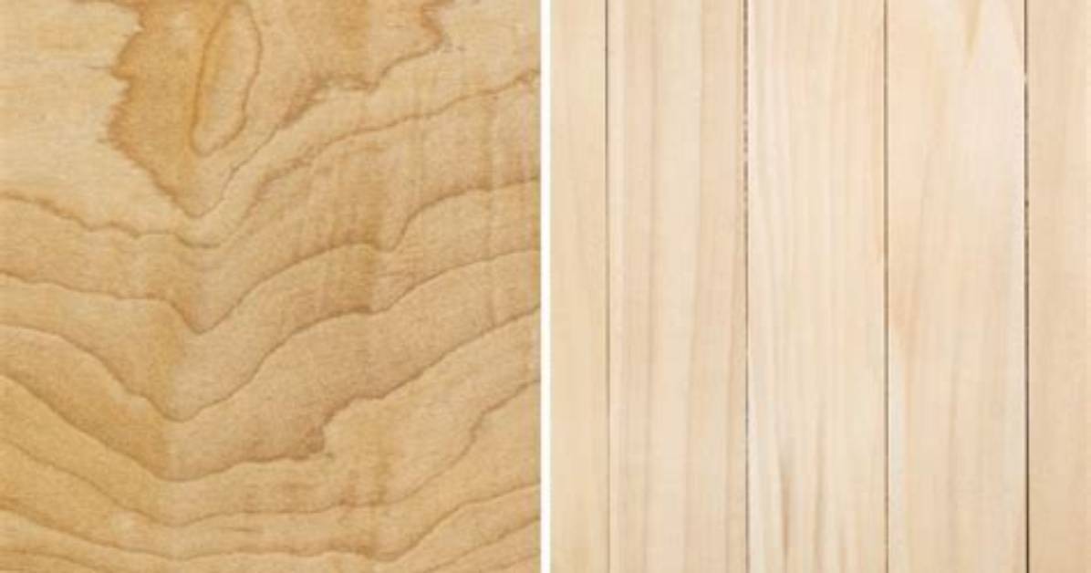 Is Soft Maple Harder Than Poplar