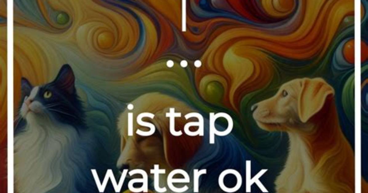 Is Soft Water Ok for Pets?