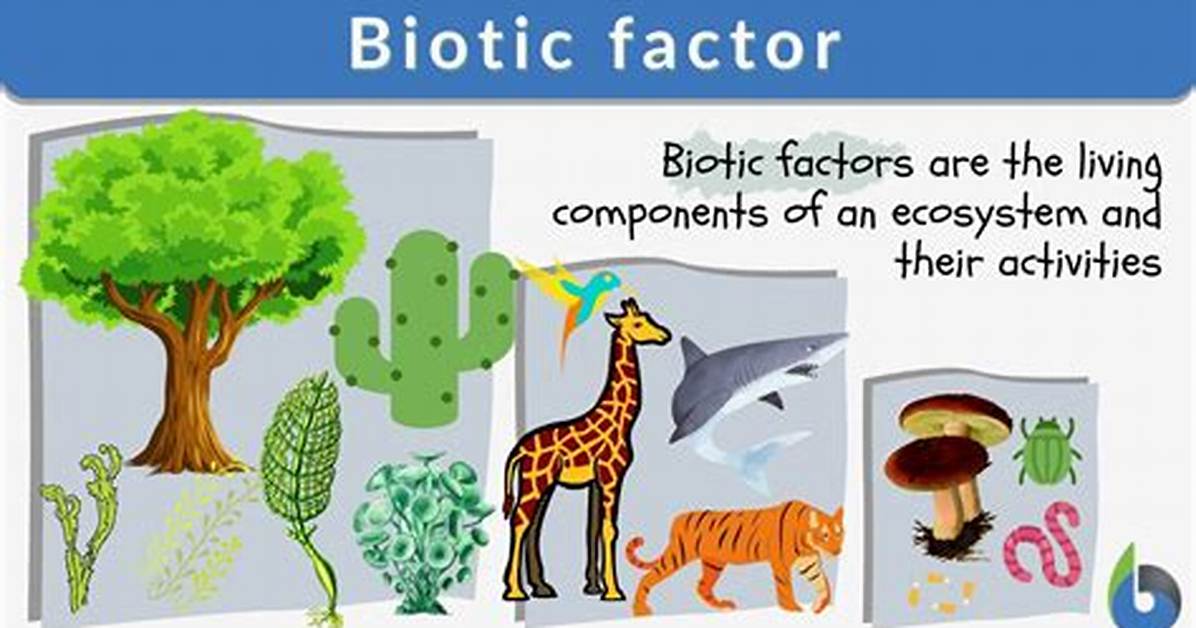 Is Soil a Biotic Factor