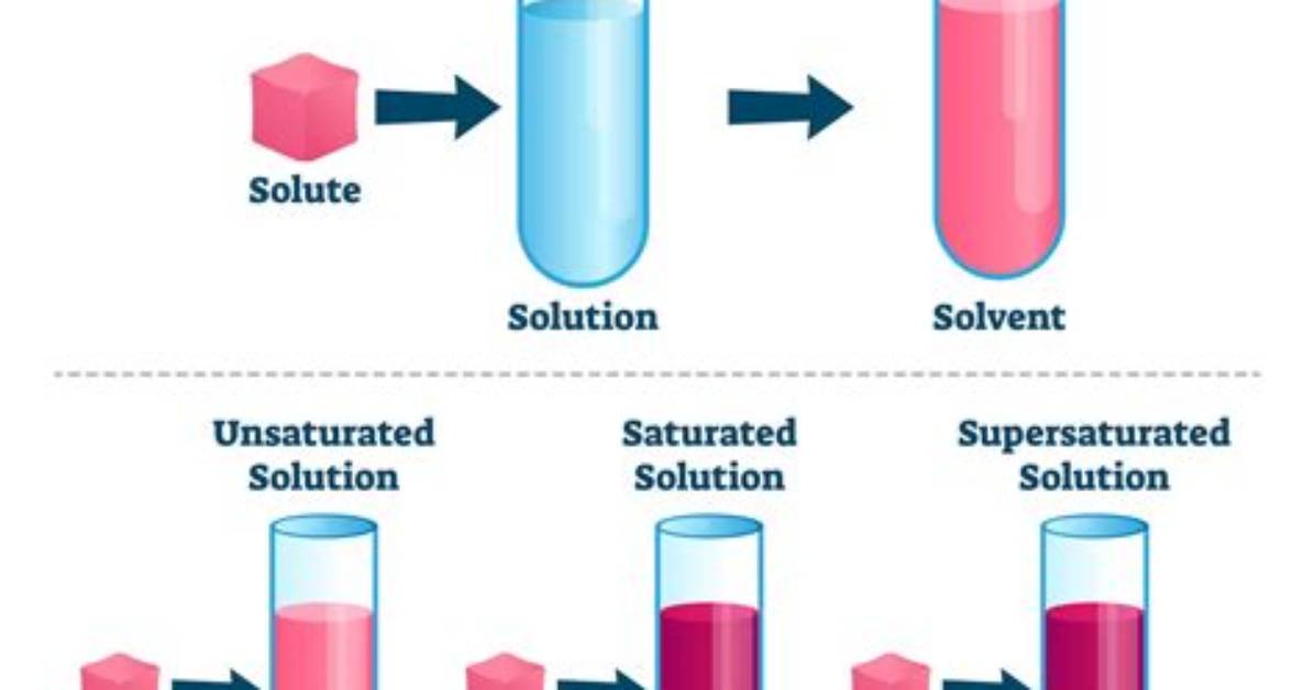 Is Solubility and Dissolve the Same?
