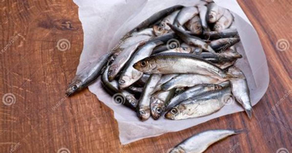 Is Spat a Fish?