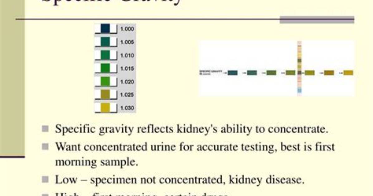 Is Specific Gravity 1.025?