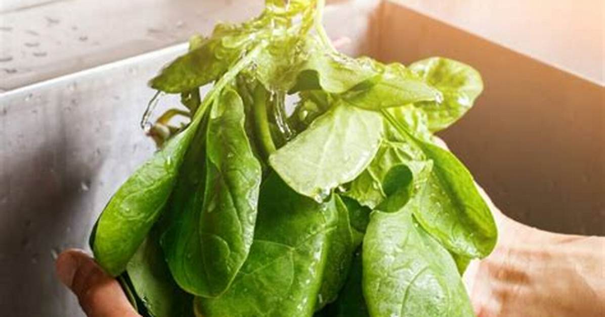 Is Spinach Man Made