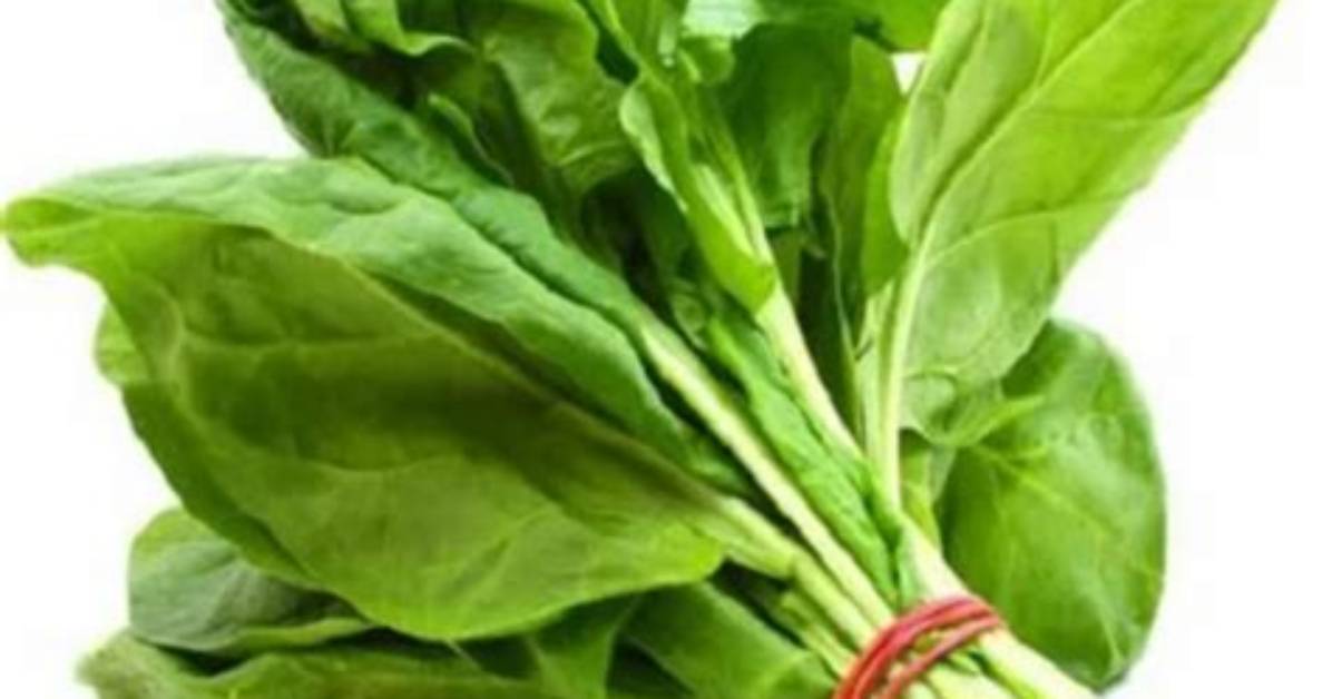 Is Spinach Same as Palak?