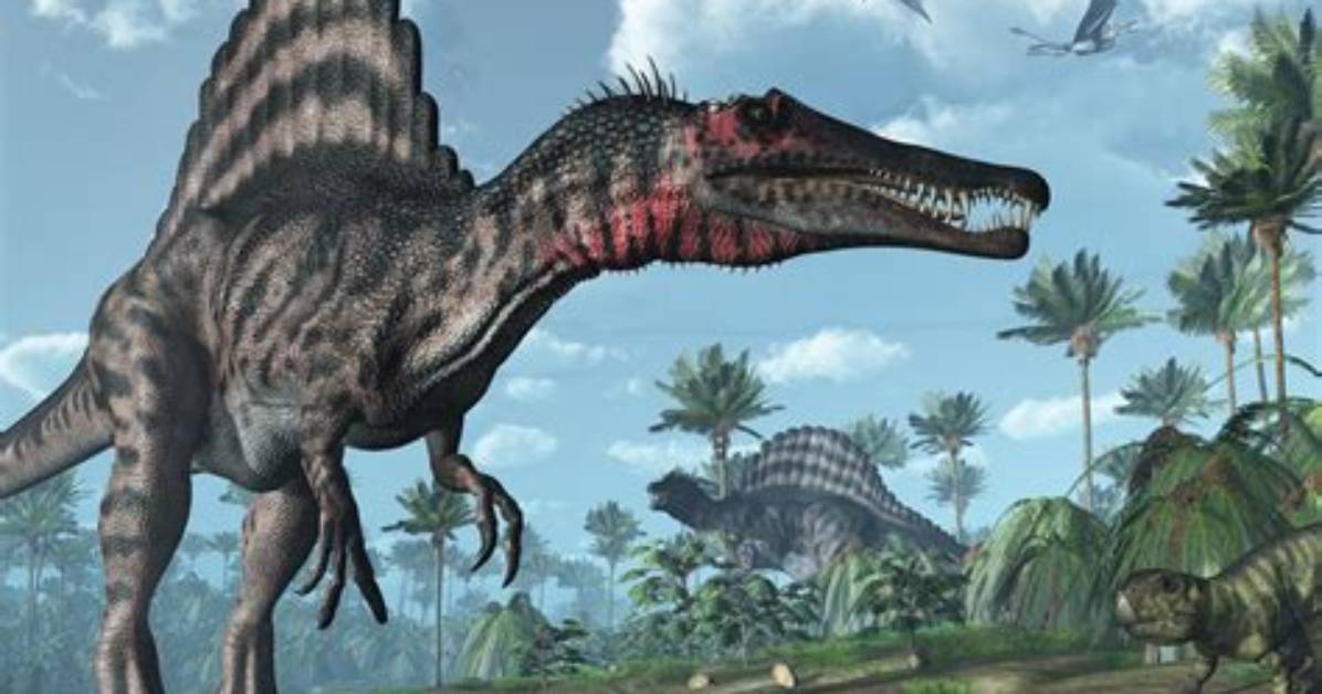 Is Spinosaurus a Meat Eater?