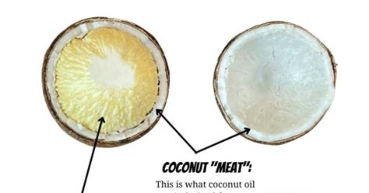 Is Sprouted Coconut Good