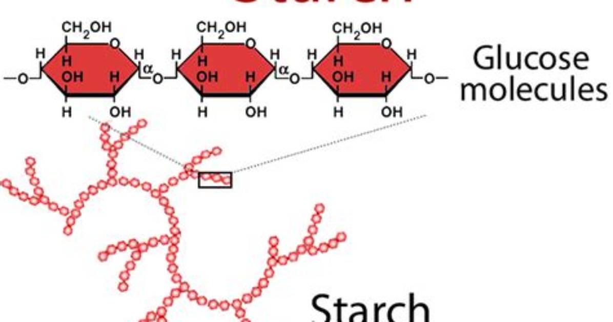 Is Starch Covalent Bond