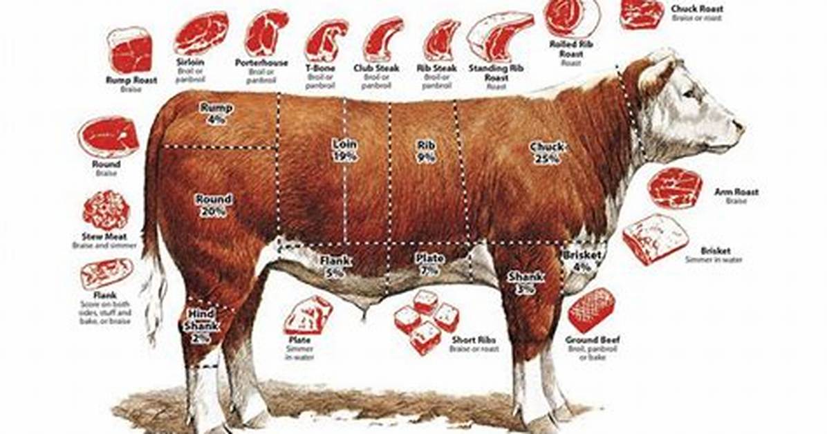 Is Steak a Cow?