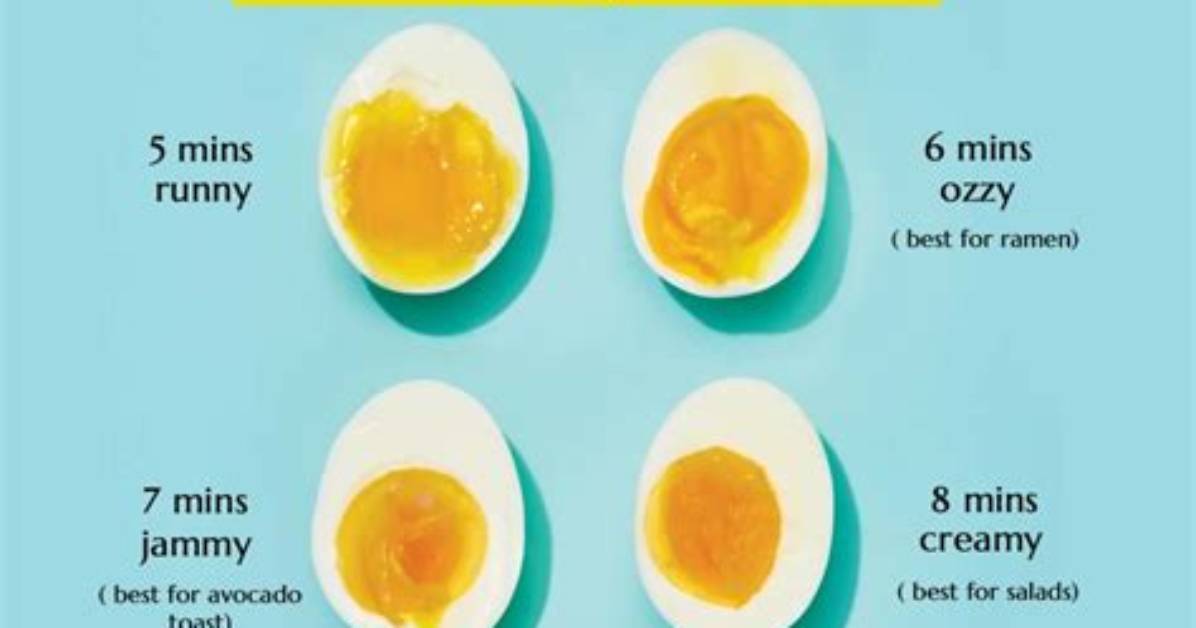 Is Steam Egg Fully Cooked?