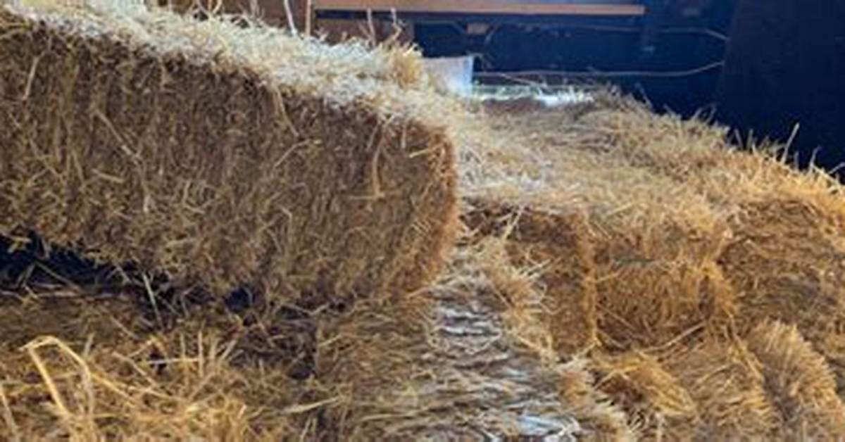 Is Straw Organic