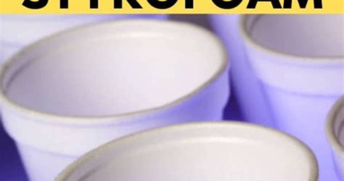 Is Styrofoam Recyclable Markham