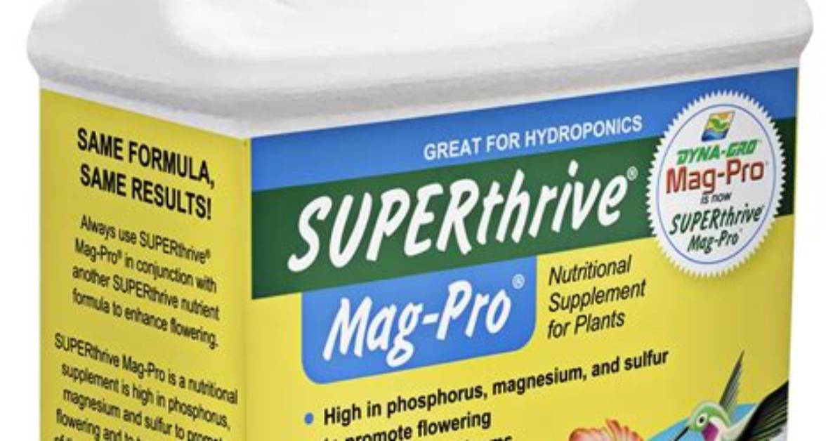 Is Superthrive Good for Orchids