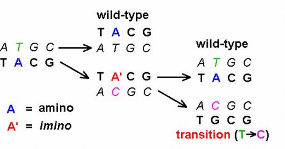 Is Tautomeric Shift Mutation?