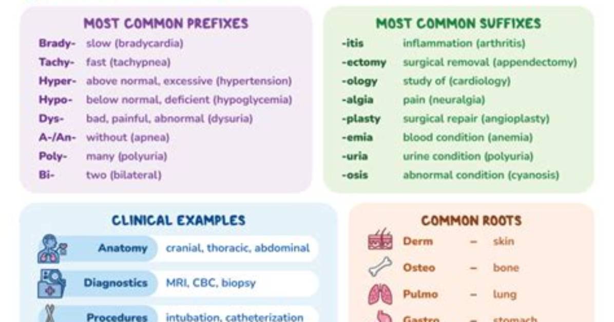 Is Terminology a Language?
