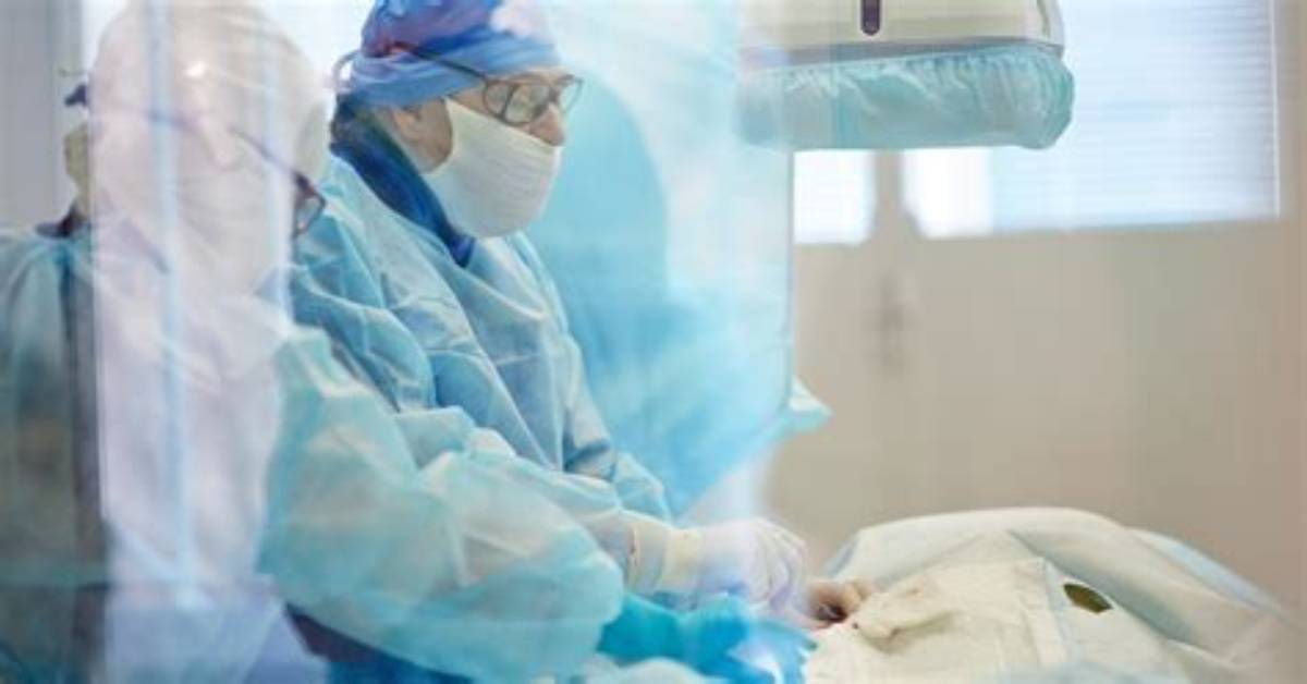 Is Testicle Transplant Possible?