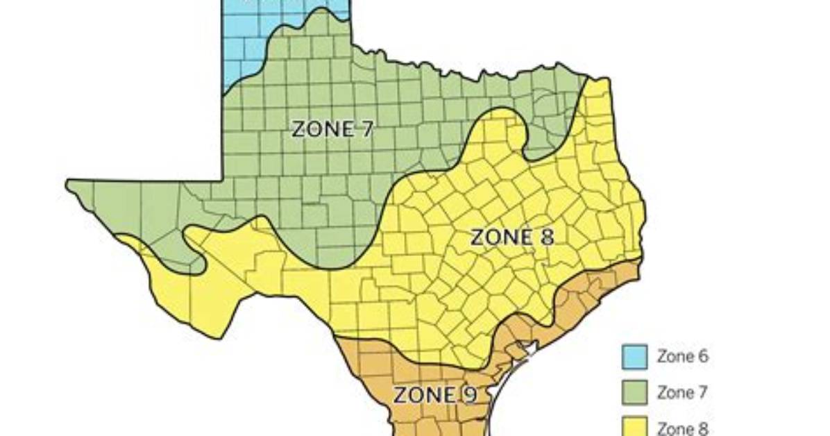 Is Texas Zone 9