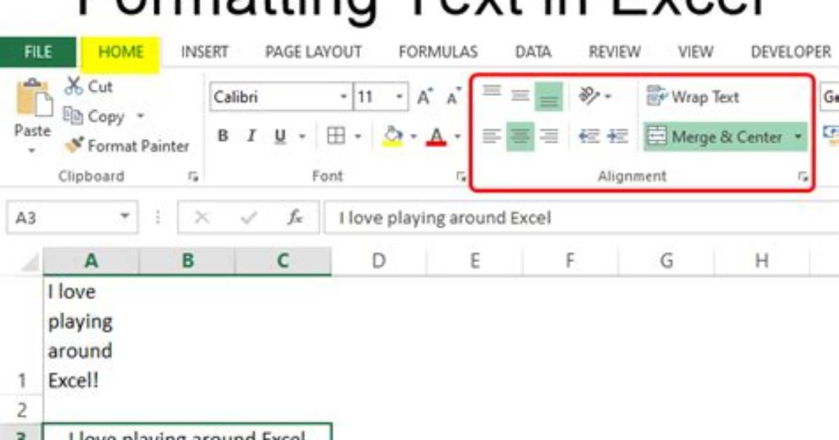 Is Text Formatting in Excel?