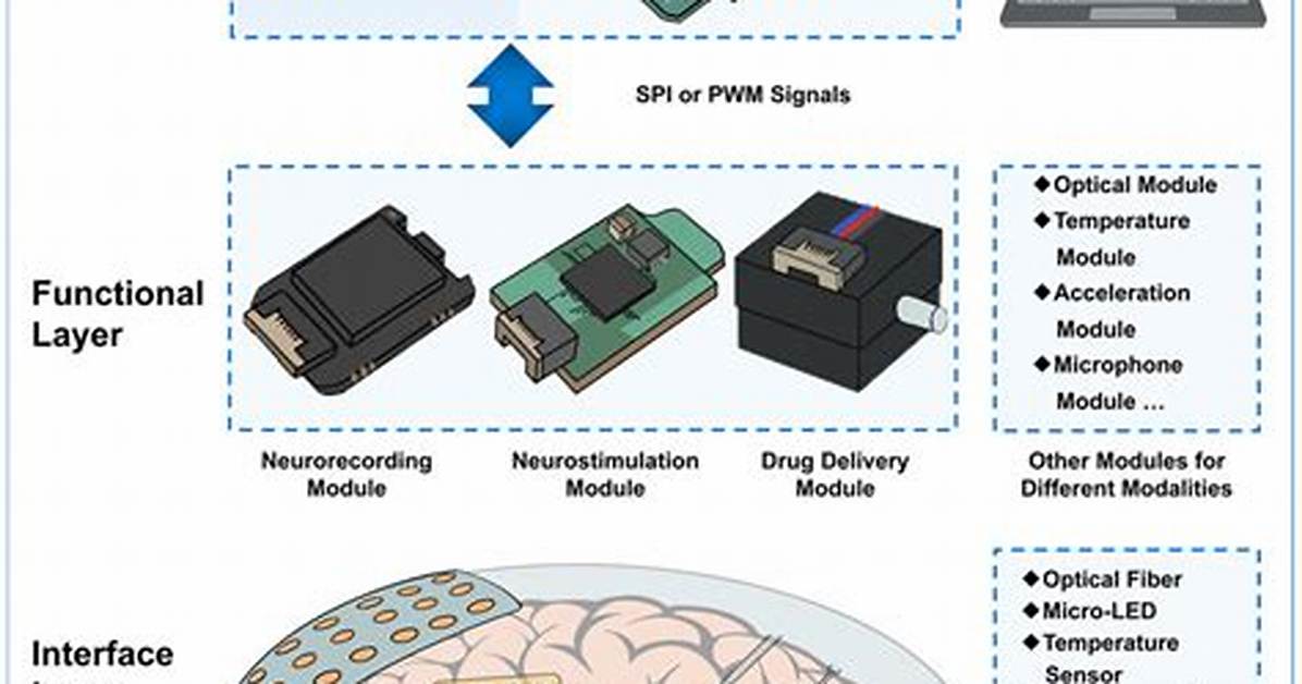 Is the Human Brain Modular