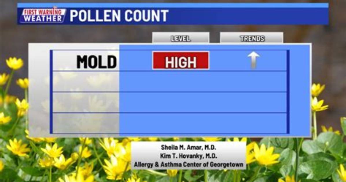 Is the Mold Count High