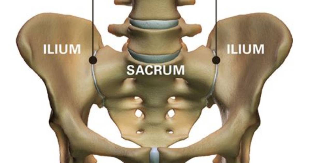 Is the Pelvis a Joint?