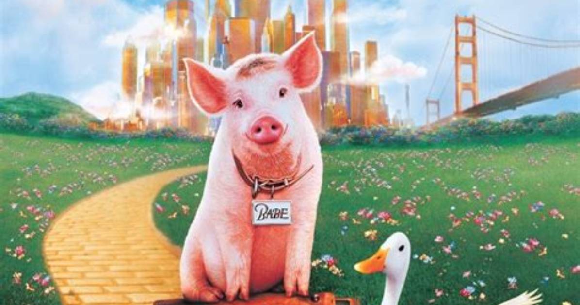 Is the Pig from Babe Dead