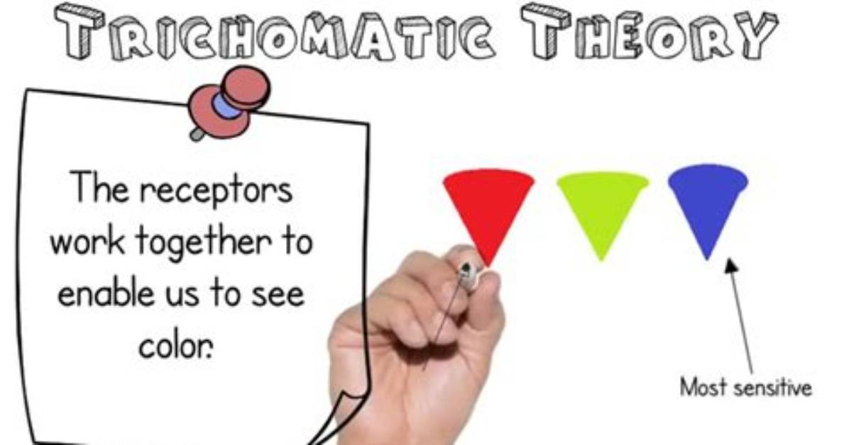 Is the Trichromatic Theory Correct?